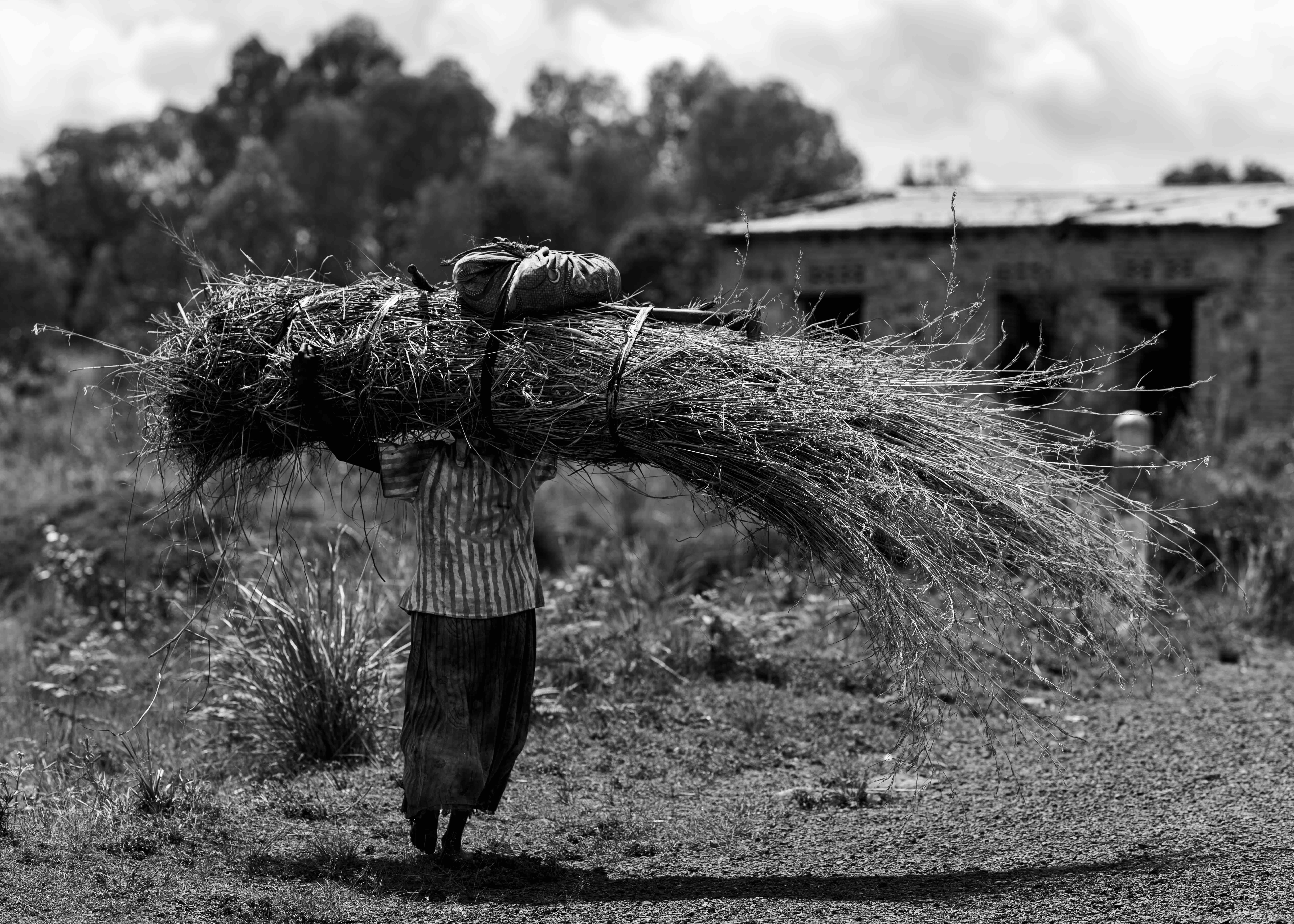 Begegnungen in Togo, Burundi und Uganda 4